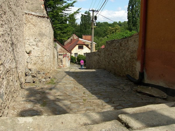 SH104566