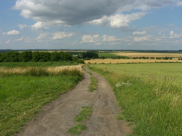 SH104659